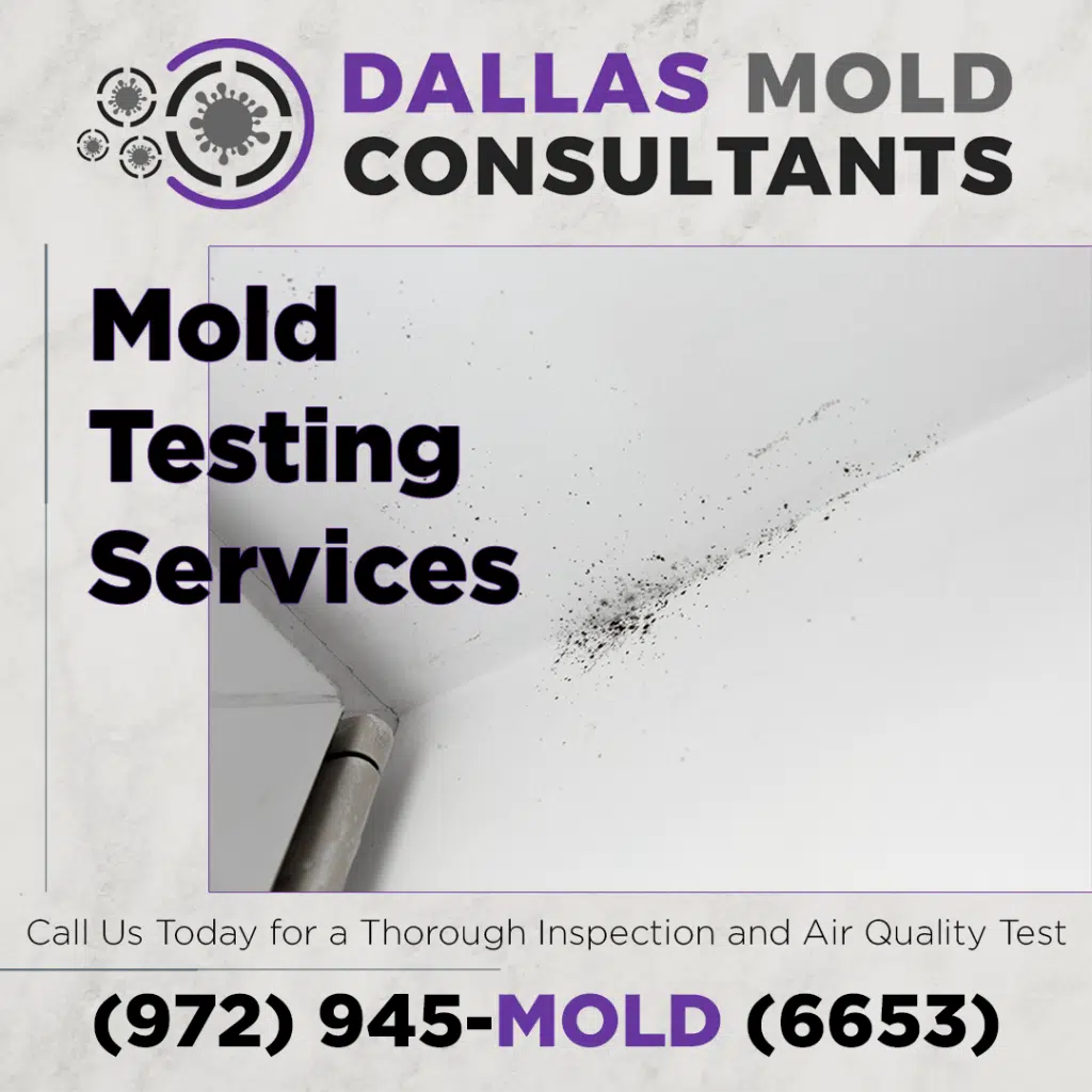 A Guide to Interpreting Mold Test Results - GreenWorks Environmental LLC